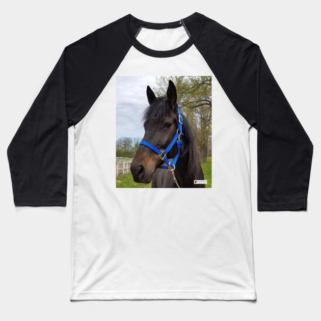 Tito Baseball T-Shirt by SunshineHorses